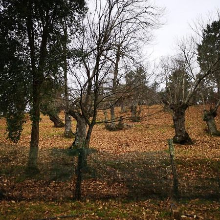 פוואנטהרידוס Valle Granado מראה חיצוני תמונה