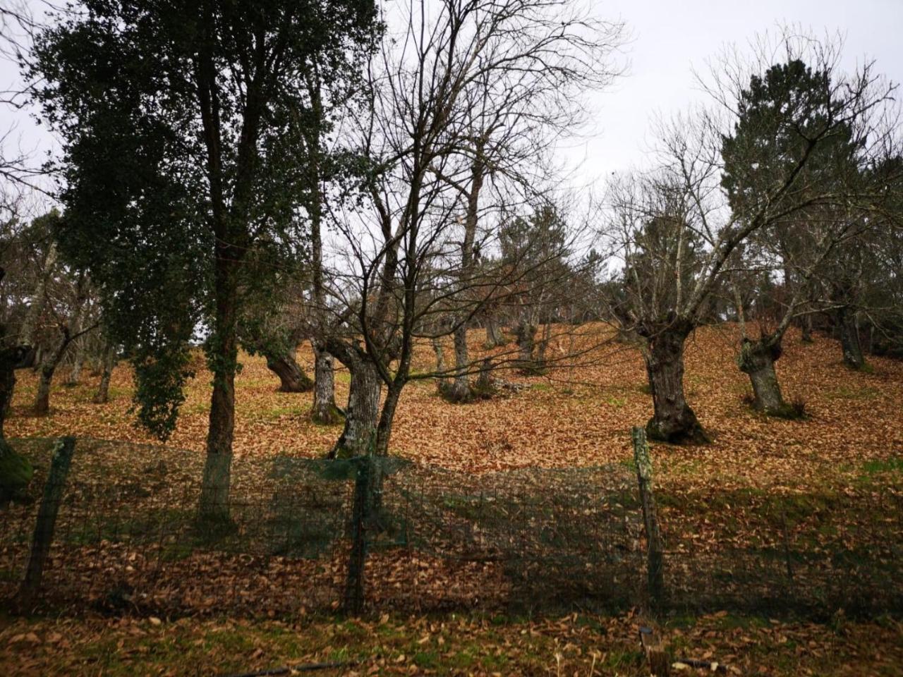 פוואנטהרידוס Valle Granado מראה חיצוני תמונה